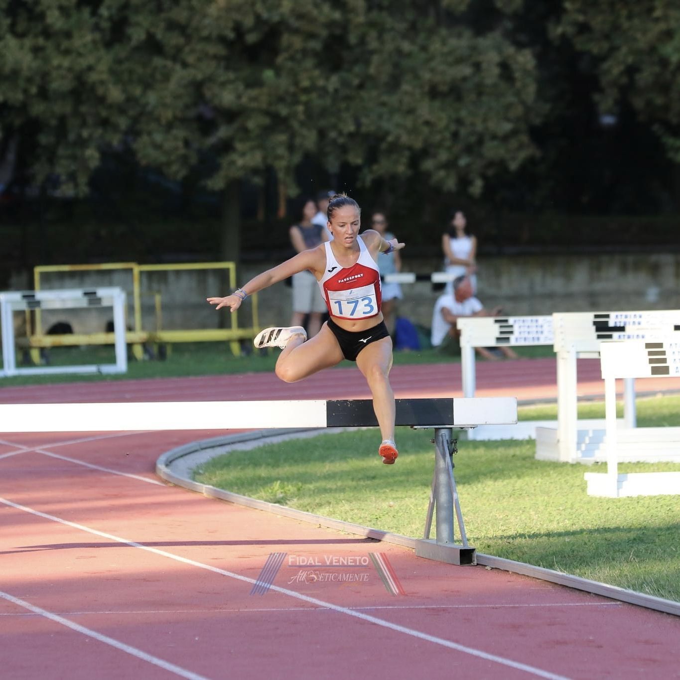 ANA Atletica Feltre - siepi